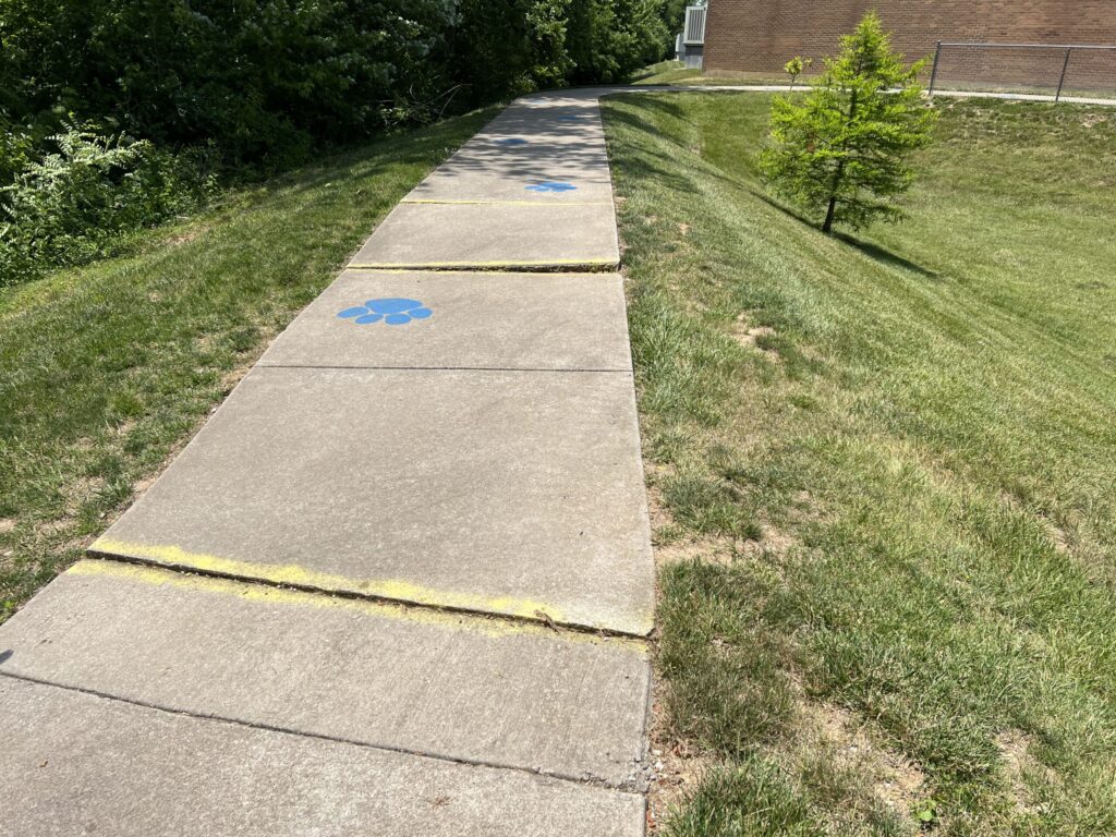 Sidewalk w/ Trips - Before