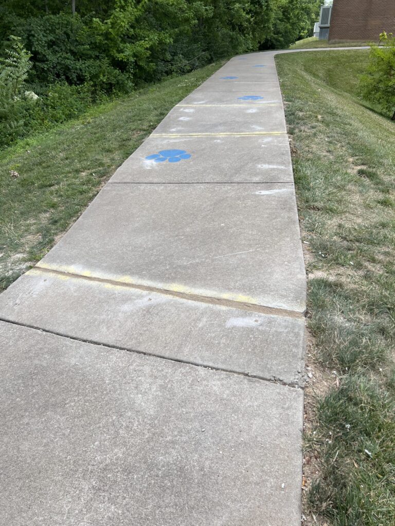 3 Driveway Pads and sidewalk - before